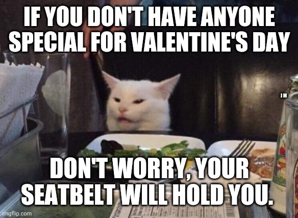 Salad cat | IF YOU DON'T HAVE ANYONE SPECIAL FOR VALENTINE'S DAY; J M; DON'T WORRY, YOUR SEATBELT WILL HOLD YOU. | image tagged in salad cat | made w/ Imgflip meme maker