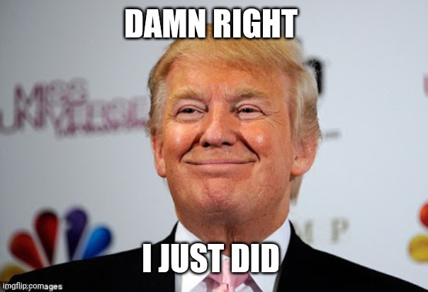 Donald trump approves | DAMN RIGHT I JUST DID | image tagged in donald trump approves | made w/ Imgflip meme maker