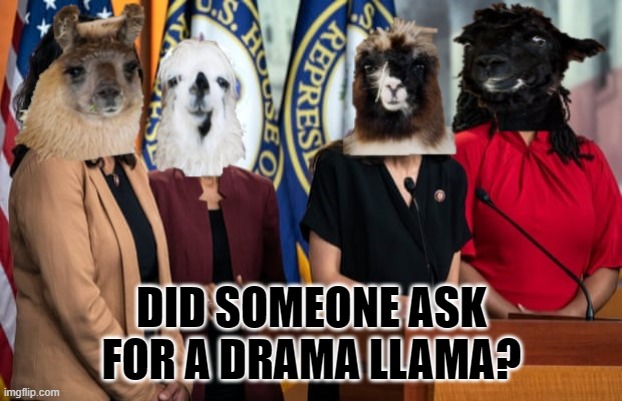 The Drama LLama Squad | DID SOMEONE ASK FOR A DRAMA LLAMA? | image tagged in the drama llama squad | made w/ Imgflip meme maker