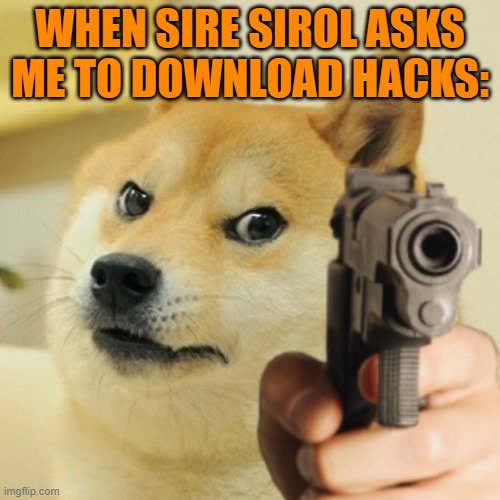 sub to brogamerells | WHEN SIRE SIROL ASKS ME TO DOWNLOAD HACKS: | image tagged in meme,sire sirol,doge gun | made w/ Imgflip meme maker