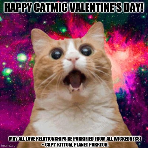 Kitties be trippin | HAPPY CATMIC VALENTINE'S DAY! MAY ALL LOVE RELATIONSHIPS BE PURRIFIED FROM ALL WICKEDNESS!
~ CAPT' KITTOM, PLANET PURRTOH. | image tagged in memes,lost in space,hipster kitty | made w/ Imgflip meme maker