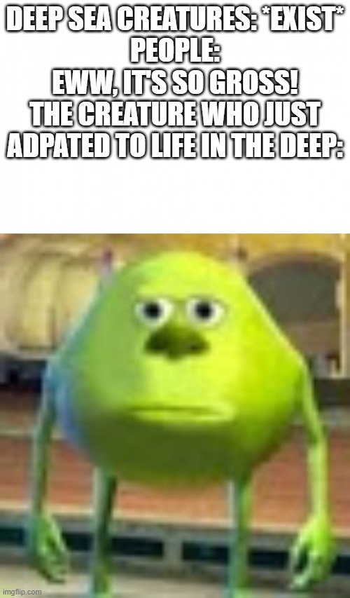 it's not like its gonna eat you | DEEP SEA CREATURES: *EXIST*
PEOPLE: EWW, IT'S SO GROSS!
THE CREATURE WHO JUST ADPATED TO LIFE IN THE DEEP: | image tagged in sully wazowski | made w/ Imgflip meme maker