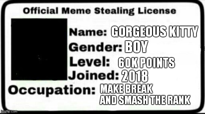 Meme Stealing License | GORGEOUS KITTY; BOY; 60K POINTS; 2018; MAKE BREAK AND SMASH THE RANK | image tagged in meme stealing license | made w/ Imgflip meme maker