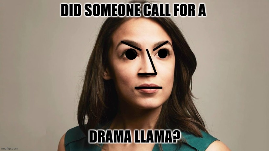 So much drama, so little time. | DID SOMEONE CALL FOR A; DRAMA LLAMA? | image tagged in npc cortez | made w/ Imgflip meme maker