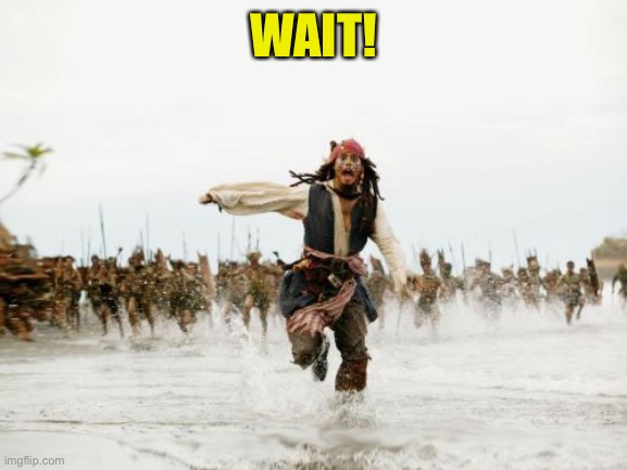 Jack Sparrow Being Chased Meme | WAIT! | image tagged in memes,jack sparrow being chased | made w/ Imgflip meme maker