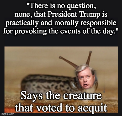 Textbook hypocrisy | "There is no question, none, that President Trump is practically and morally responsible for provoking the events of the day."; Says the creature that voted to acquit | image tagged in slimesy graham,impeachment,gop,slime,actually it was mitch mcconnell | made w/ Imgflip meme maker