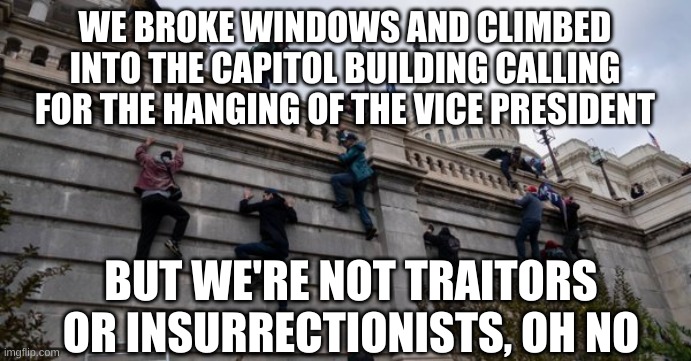 capitol riot | WE BROKE WINDOWS AND CLIMBED INTO THE CAPITOL BUILDING CALLING FOR THE HANGING OF THE VICE PRESIDENT BUT WE'RE NOT TRAITORS OR INSURRECTIONI | image tagged in capitol riot | made w/ Imgflip meme maker