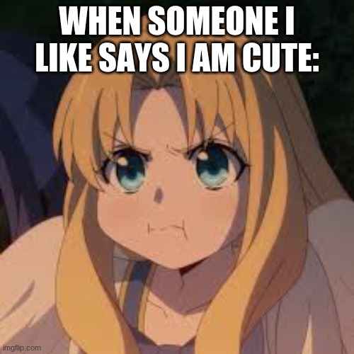 WHEN SOMEONE I LIKE SAYS I AM CUTE: | made w/ Imgflip meme maker