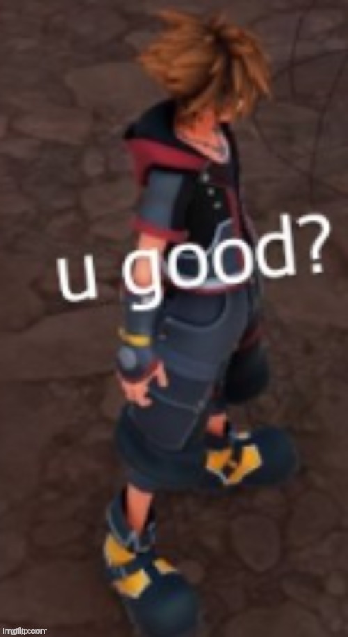 sora u good? | image tagged in sora u good | made w/ Imgflip meme maker