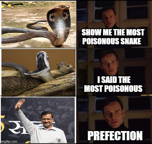 Kejriwal | SHOW ME THE MOST POISONOUS SNAKE; I SAID THE MOST POISONOUS; PREFECTION | image tagged in show me the real | made w/ Imgflip meme maker