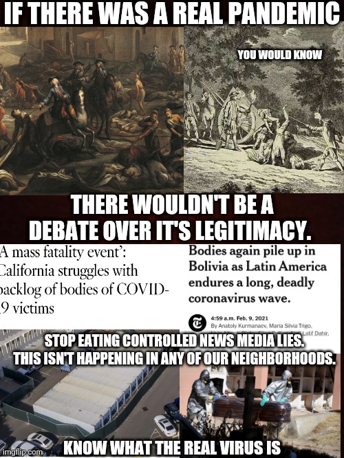 IF THERE WAS A REAL PANDEMIC; YOU WOULD KNOW; THERE WOULDN'T BE A DEBATE OVER IT'S LEGITIMACY. STOP EATING CONTROLLED NEWS MEDIA LIES. THIS ISN'T HAPPENING IN ANY OF OUR NEIGHBORHOODS. KNOW WHAT THE REAL VIRUS IS | image tagged in covid,memes,the more you know,lies,news,politics | made w/ Imgflip meme maker