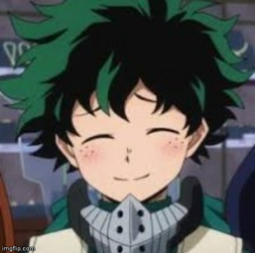Deku smile | image tagged in deku wholesome smile | made w/ Imgflip meme maker