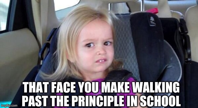 wtf girl | THAT FACE YOU MAKE WALKING PAST THE PRINCIPLE IN SCHOOL | image tagged in wtf girl | made w/ Imgflip meme maker