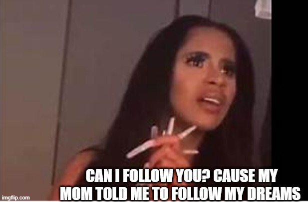 idfk- lol | CAN I FOLLOW YOU? CAUSE MY MOM TOLD ME TO FOLLOW MY DREAMS | image tagged in what is dat | made w/ Imgflip meme maker