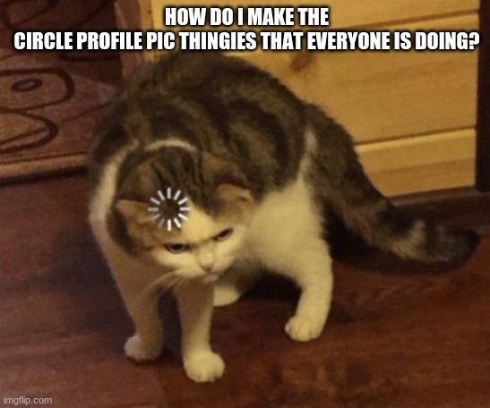 wat | HOW DO I MAKE THE CIRCLE PROFILE PIC THINGIES THAT EVERYONE IS DOING? | image tagged in lag cat,instructions please | made w/ Imgflip meme maker