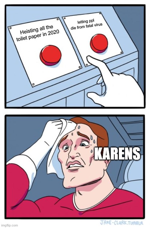Karens In 2020 | letting ppl die from fatal virus; Heisting all the toilet paper in 2020; KARENS | image tagged in memes,two buttons | made w/ Imgflip meme maker