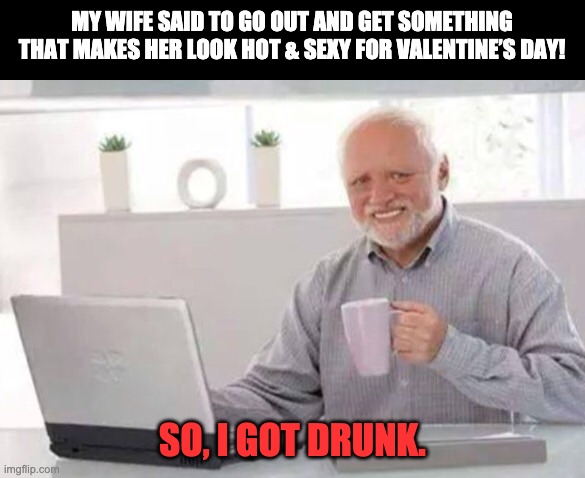 Get something | MY WIFE SAID TO GO OUT AND GET SOMETHING THAT MAKES HER LOOK HOT & SEXY FOR VALENTINE’S DAY! SO, I GOT DRUNK. | image tagged in harold | made w/ Imgflip meme maker