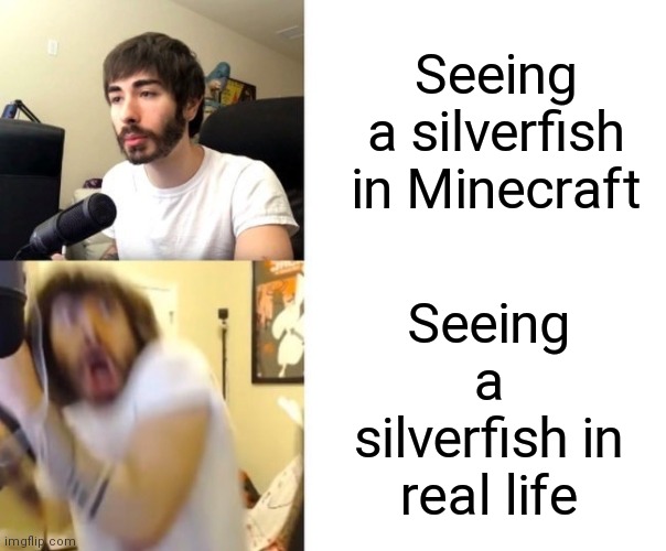 Silverfish are really horrible in real life! | Seeing a silverfish in Minecraft; Seeing a silverfish in real life | image tagged in penguinz0,minecraft,silverfish,relatable,real life | made w/ Imgflip meme maker