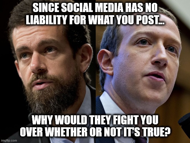 Social Media Truth | SINCE SOCIAL MEDIA HAS NO LIABILITY FOR WHAT YOU POST... WHY WOULD THEY FIGHT YOU OVER WHETHER OR NOT IT'S TRUE? | image tagged in twitter,facebook,china,first amendment | made w/ Imgflip meme maker