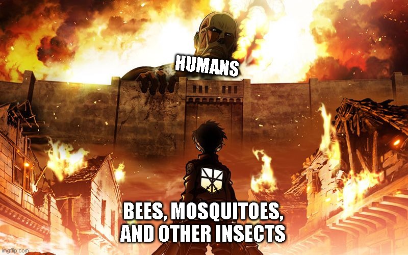 Attack On Titan | HUMANS; BEES, MOSQUITOES, AND OTHER INSECTS | image tagged in attack on titan | made w/ Imgflip meme maker