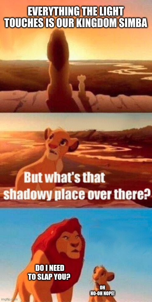 what dat place dad? | EVERYTHING THE LIGHT TOUCHES IS OUR KINGDOM SIMBA; DO I NEED TO SLAP YOU? OH HO-OH NOPE! | image tagged in memes,simba shadowy place | made w/ Imgflip meme maker