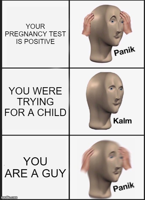 Pregnancy test |  YOUR PREGNANCY TEST IS POSITIVE; YOU WERE TRYING FOR A CHILD; YOU ARE A GUY | image tagged in memes,panik kalm panik,pregnant,pregnancy,pregnancy test,meme man | made w/ Imgflip meme maker
