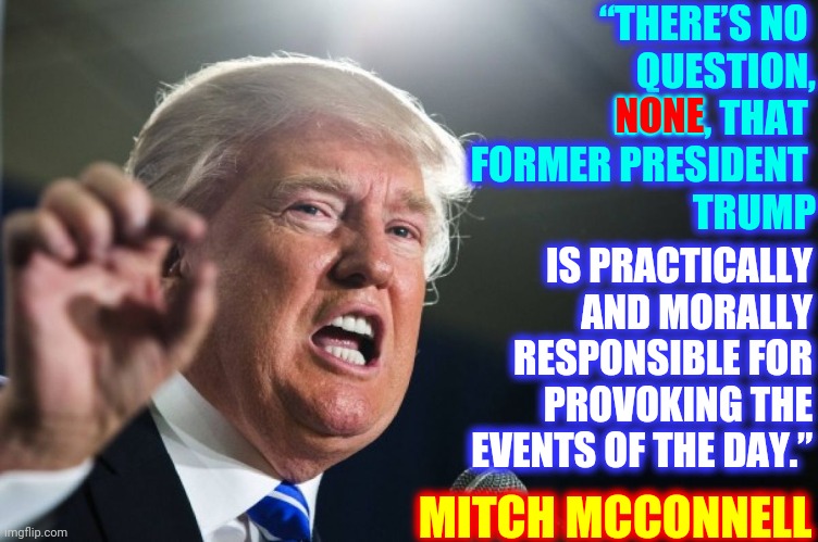 Guilty But Not Held Accountable Is Donald Trump's Brand | “THERE’S NO 
QUESTION, NONE, THAT 
FORMER PRESIDENT 
TRUMP; NONE; IS PRACTICALLY AND MORALLY RESPONSIBLE FOR PROVOKING THE EVENTS OF THE DAY.”; MITCH MCCONNELL | image tagged in donald trump,the murderer,guilty,lock him up,memes,trump lies | made w/ Imgflip meme maker