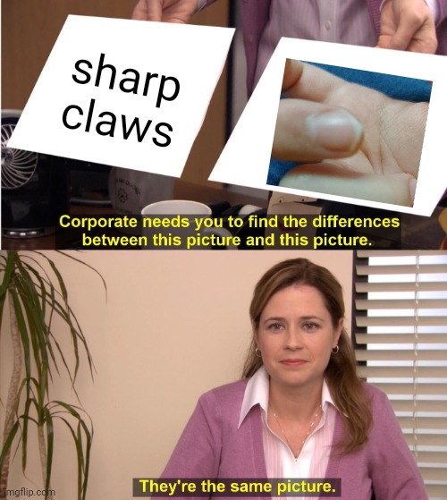 They're The Same Picture Meme | sharp claws | image tagged in memes,they're the same picture | made w/ Imgflip meme maker