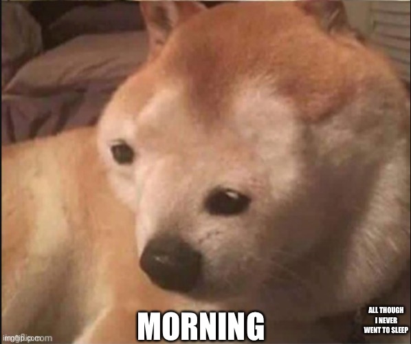 Confused noise | MORNING; ALL THOUGH I NEVER WENT TO SLEEP | image tagged in confused noise | made w/ Imgflip meme maker