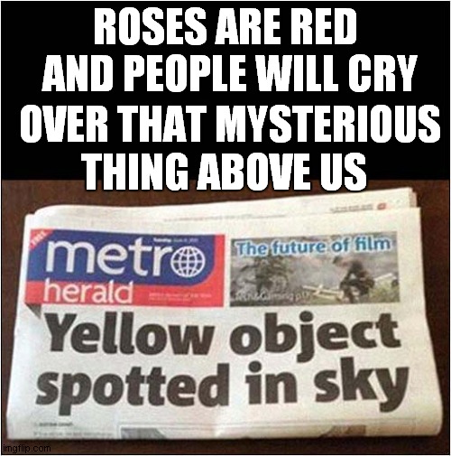Roses Are Red In The Sun | ROSES ARE RED; AND PEOPLE WILL CRY; THING ABOVE US; OVER THAT MYSTERIOUS | image tagged in roses are red,sun | made w/ Imgflip meme maker