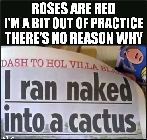 Roses Are Red With A Cactus | ROSES ARE RED; I'M A BIT OUT OF PRACTICE; THERE'S NO REASON WHY | image tagged in roses are red,cactus | made w/ Imgflip meme maker