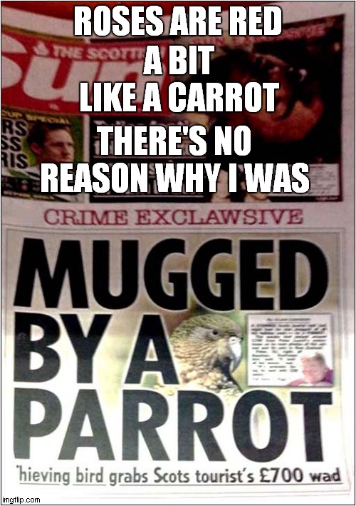 Roses Are Red And A Naughty Parrot | ROSES ARE RED; A BIT LIKE A CARROT; THERE'S NO REASON WHY I WAS | image tagged in roses are red,carrot,parrot | made w/ Imgflip meme maker
