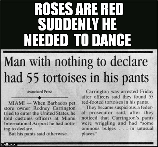 Roses Are Red He Must Dance | ROSES ARE RED; SUDDENLY HE NEEDED  TO DANCE | image tagged in roses are red,tortoise,dance | made w/ Imgflip meme maker