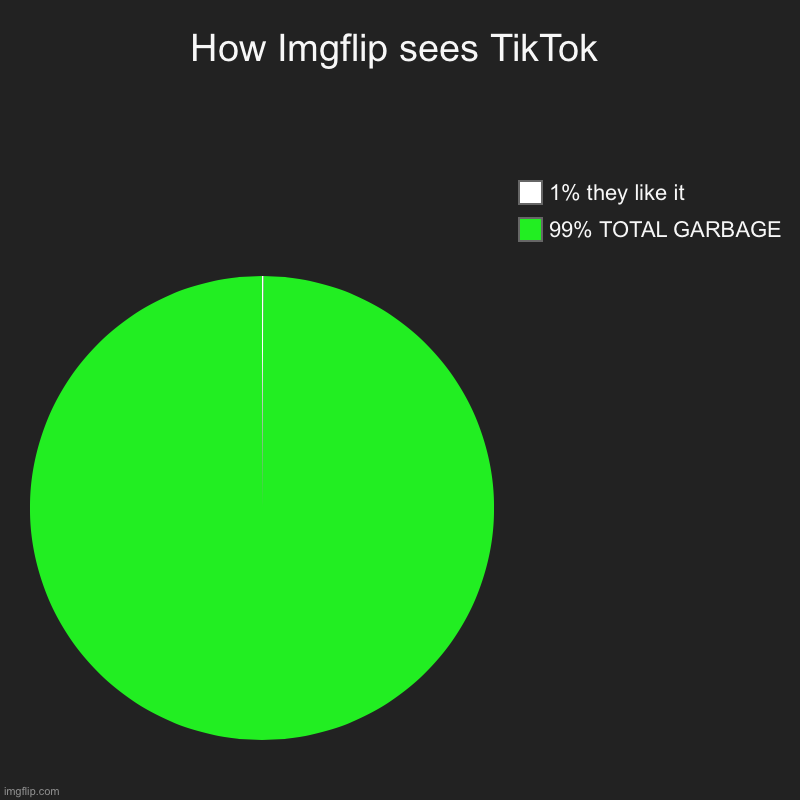 I'm in the 99% | How Imgflip sees TikTok | 99% TOTAL GARBAGE, 1% they like it | image tagged in charts,pie charts,tiktok sucks,tiktok,tik tok,memes | made w/ Imgflip chart maker