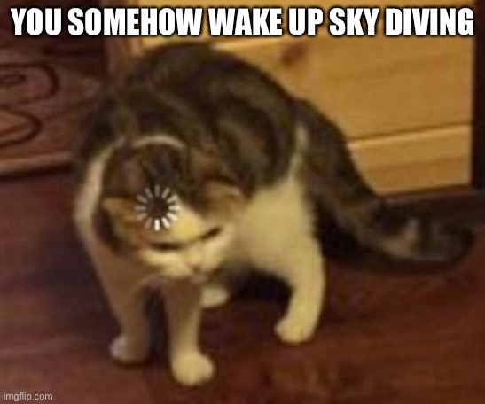 Loading cat | YOU SOMEHOW WAKE UP SKY DIVING | image tagged in loading cat | made w/ Imgflip meme maker