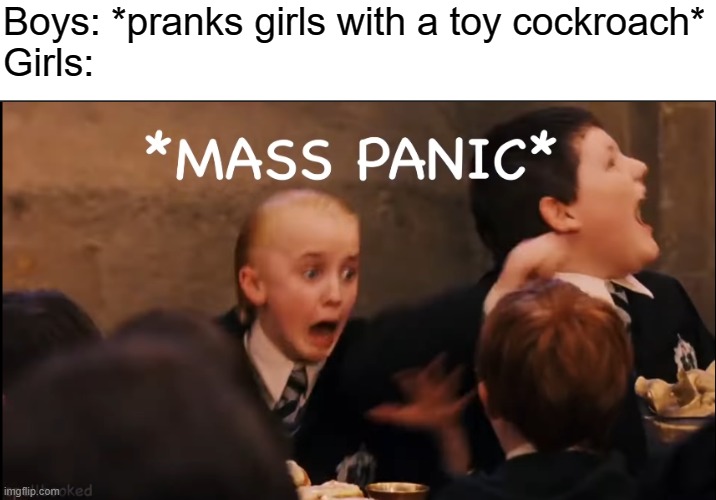Boys: *pranks girls with a toy cockroach*
Girls: | image tagged in haha | made w/ Imgflip meme maker