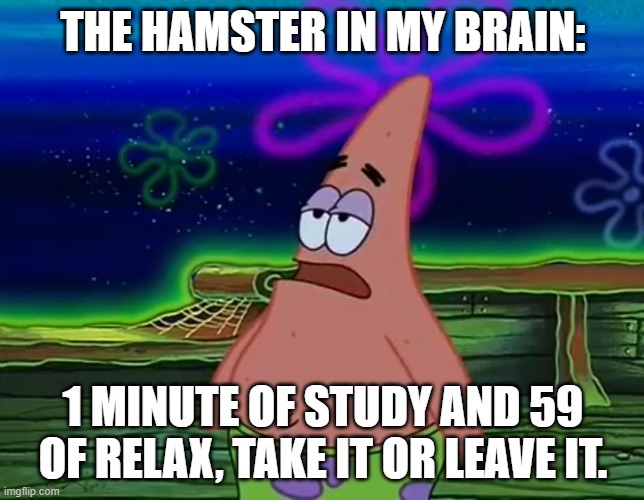 POV: I should be studying right now | THE HAMSTER IN MY BRAIN:; 1 MINUTE OF STUDY AND 59 OF RELAX, TAKE IT OR LEAVE IT. | image tagged in patrick star take it or leave | made w/ Imgflip meme maker