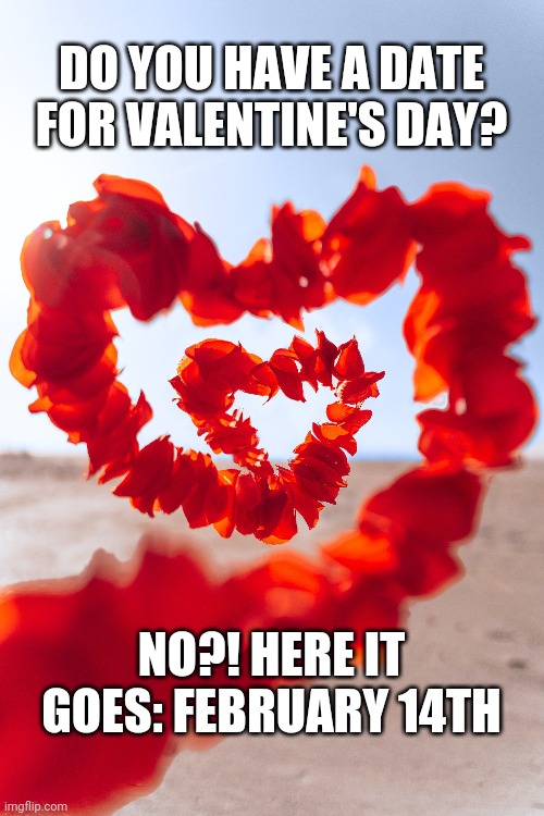 Valentine | DO YOU HAVE A DATE FOR VALENTINE'S DAY? NO?! HERE IT GOES: FEBRUARY 14TH | image tagged in love,valentine's day,valentine,happy valentine's day,date | made w/ Imgflip meme maker