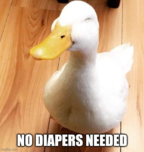 SMILE DUCK | NO DIAPERS NEEDED | image tagged in smile duck | made w/ Imgflip meme maker