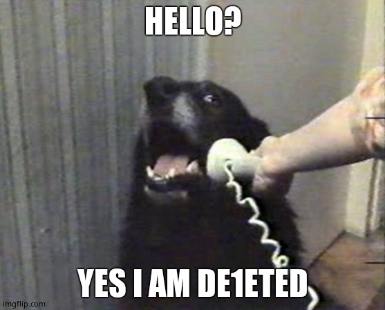 hello this is dog | HELLO? YES I AM DE1ETED | image tagged in hello this is dog | made w/ Imgflip meme maker