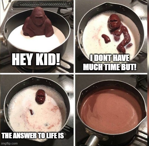 Hey Kid, I don't have much time | HEY KID! I DONT HAVE MUCH TIME BUT! THE ANSWER TO LIFE IS | image tagged in hey kid i don't have much time | made w/ Imgflip meme maker