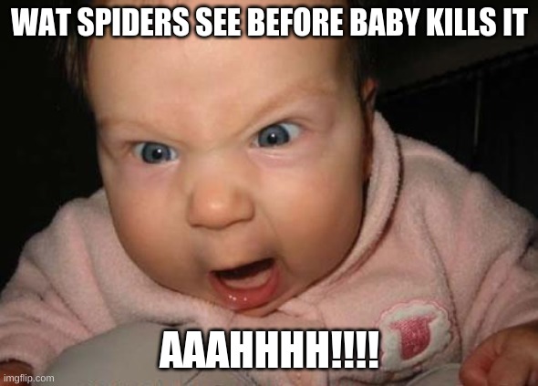 Evil Baby Meme | WAT SPIDERS SEE BEFORE BABY KILLS IT; AAAHHHH!!!! | image tagged in memes,evil baby | made w/ Imgflip meme maker