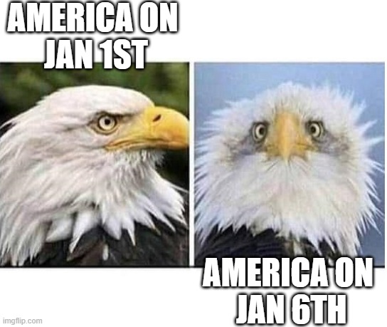 #America | AMERICA ON 
JAN 1ST; AMERICA ON 
JAN 6TH | image tagged in jan 6th,donald trump | made w/ Imgflip meme maker