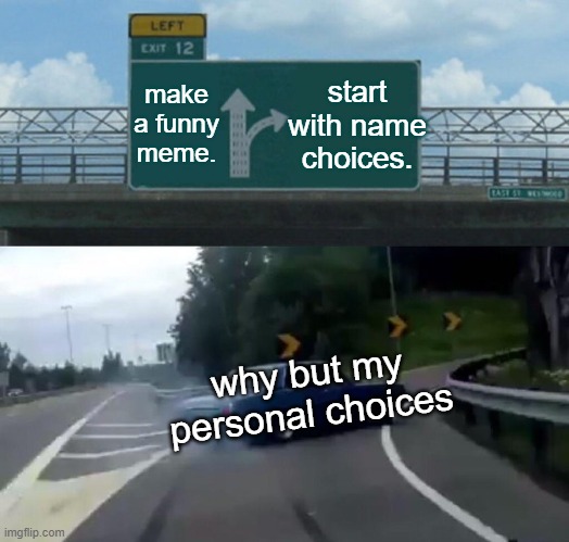another meme for baes! | start with name choices. make a funny meme. why but my personal choices | image tagged in memes,left exit 12 off ramp,chiggers | made w/ Imgflip meme maker