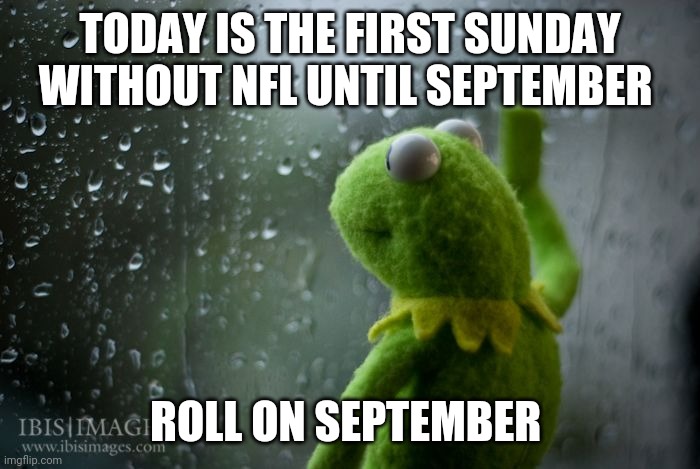 kermit window | TODAY IS THE FIRST SUNDAY WITHOUT NFL UNTIL SEPTEMBER; ROLL ON SEPTEMBER | image tagged in kermit window,memes,nfl,nfl memes | made w/ Imgflip meme maker