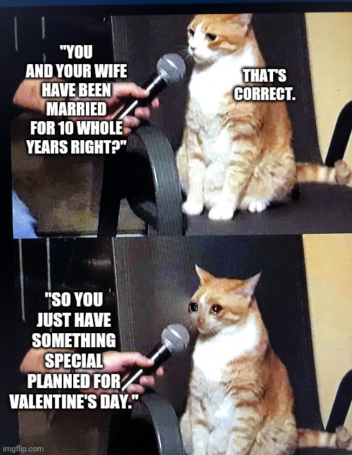 Cat interview crying | "YOU AND YOUR WIFE HAVE BEEN MARRIED FOR 10 WHOLE YEARS RIGHT?"; THAT'S CORRECT. "SO YOU JUST HAVE SOMETHING SPECIAL PLANNED FOR VALENTINE'S DAY." | image tagged in cat interview crying | made w/ Imgflip meme maker