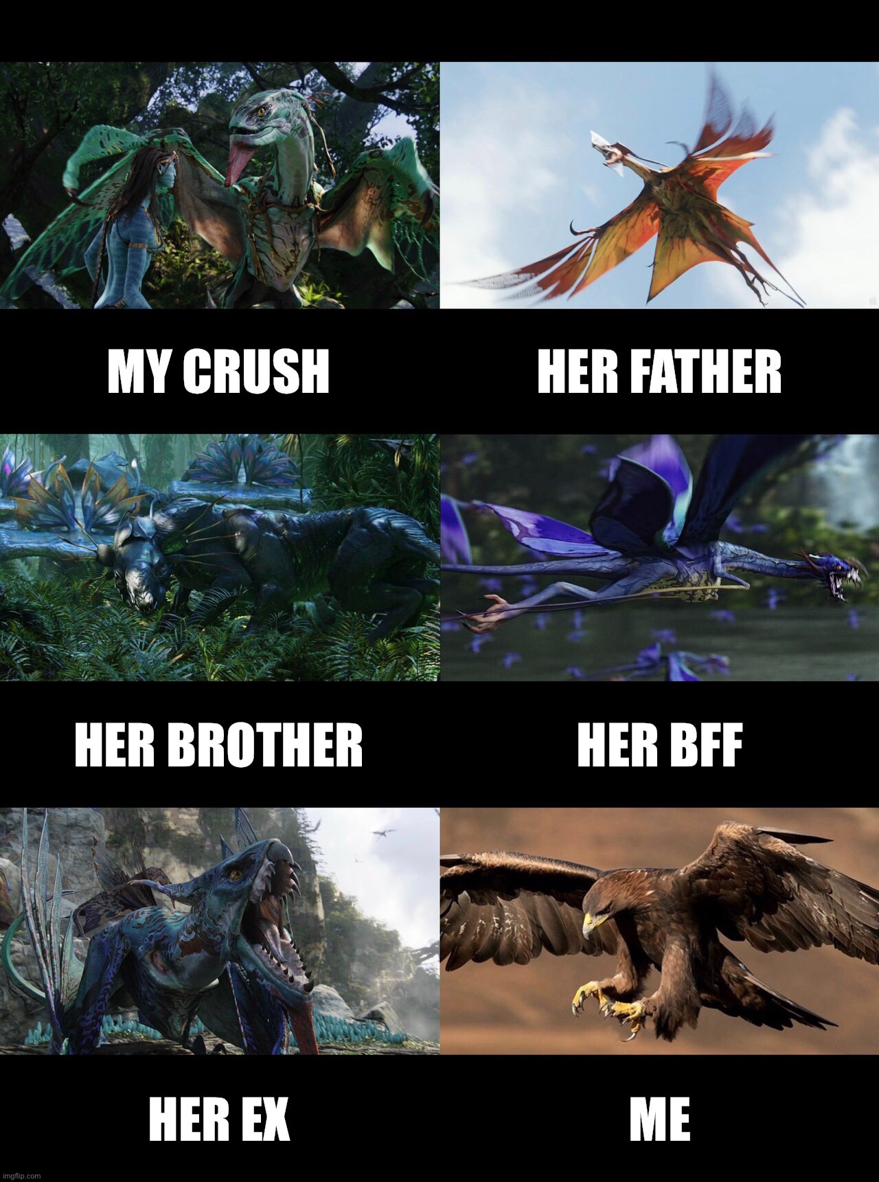 Happy Valentine’s Day | MY CRUSH, HER FATHER, HER BROTHER, HER BEST FRIEND FOREVER, HER EX, ME. | image tagged in love,avatar,valentine's day,true love,love is love,love wins | made w/ Imgflip meme maker