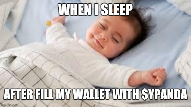 sleep well baby | WHEN I SLEEP; AFTER FILL MY WALLET WITH $YPANDA | image tagged in sleep well baby | made w/ Imgflip meme maker