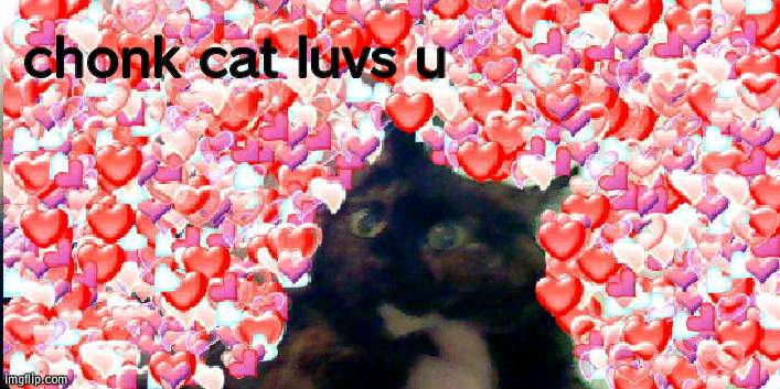chonk cat luvs u | chonk cat luvs u | made w/ Imgflip meme maker