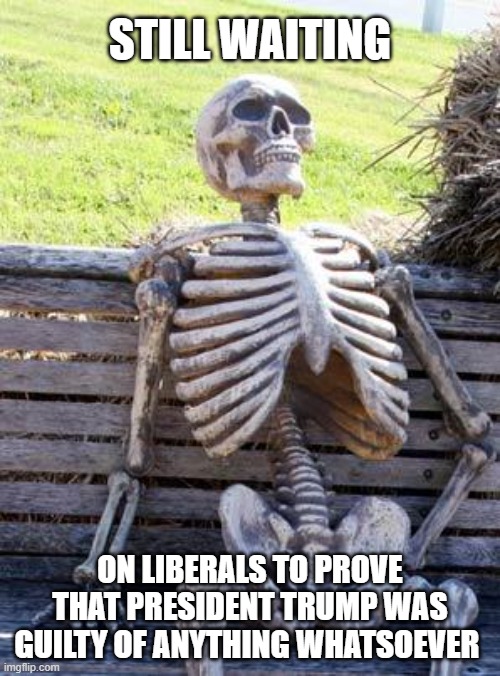 Liberals just cannot help themselves | STILL WAITING; ON LIBERALS TO PROVE THAT PRESIDENT TRUMP WAS GUILTY OF ANYTHING WHATSOEVER | image tagged in memes,waiting skeleton,liberals,democrats,fools | made w/ Imgflip meme maker